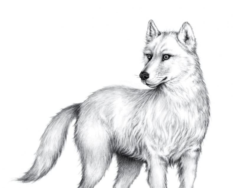 Иллюстрация к книге — Опасная дружба [i_068.jpg]