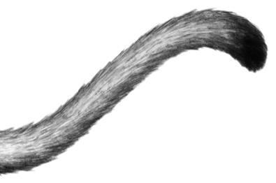 Иллюстрация к книге — Превращение Карага [b00000152.jpg]