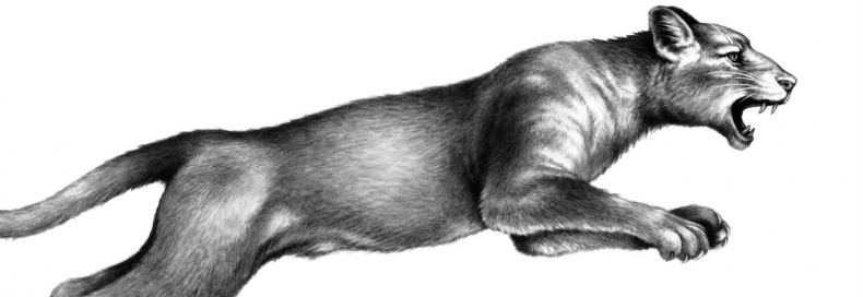 Иллюстрация к книге — Превращение Карага [b00000205.jpg]