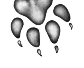 Иллюстрация к книге — Превращение Карага [b00000235.jpg]