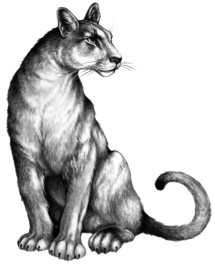 Иллюстрация к книге — Превращение Карага [b00000343.jpg]