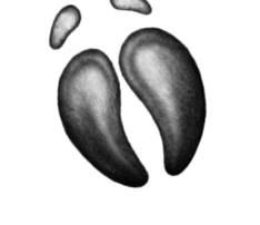 Иллюстрация к книге — Превращение Карага [b00000521.jpg]