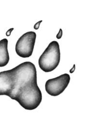 Иллюстрация к книге — Превращение Карага [b00000777.jpg]