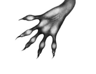 Иллюстрация к книге — Превращение Карага [b00000837.jpg]