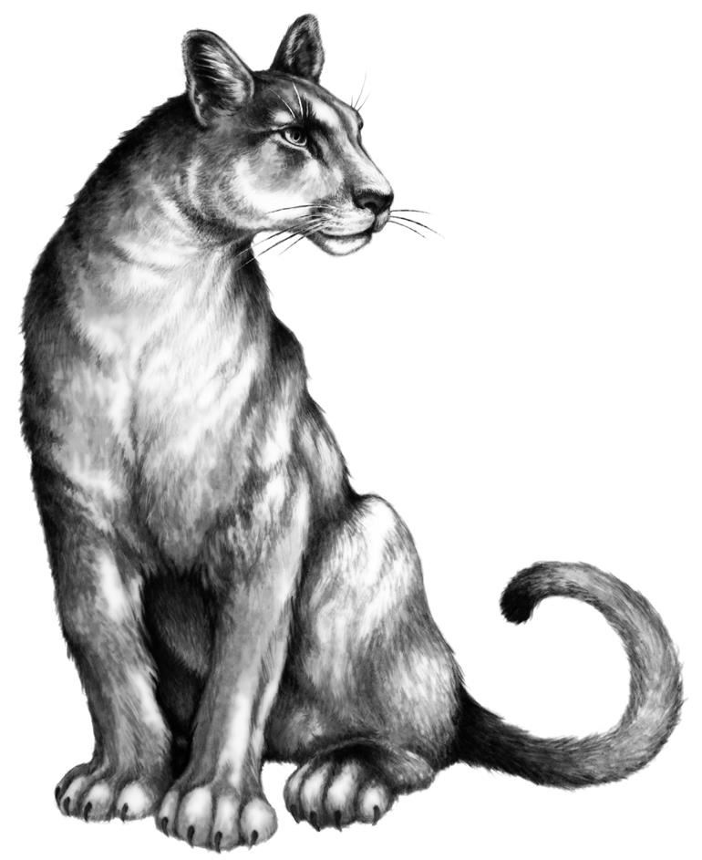 Иллюстрация к книге — Превращение Карага [b00000875.jpg]