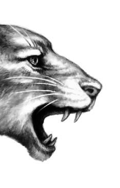 Иллюстрация к книге — Превращение Карага [b00001049.jpg]