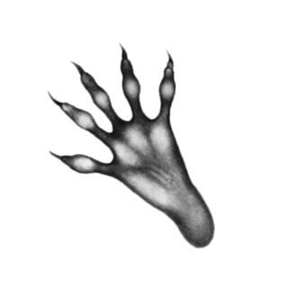 Иллюстрация к книге — Превращение Карага [b00001130.jpg]