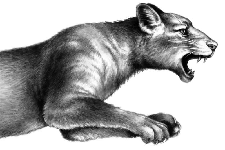 Иллюстрация к книге — Превращение Карага [b00001320.jpg]