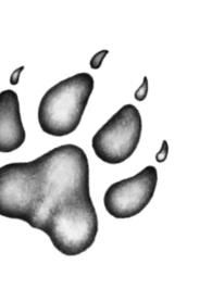 Иллюстрация к книге — Превращение Карага [b00001423.jpg]