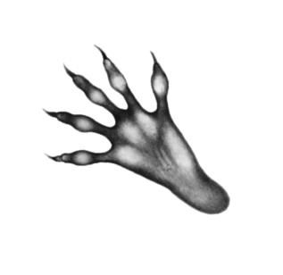 Иллюстрация к книге — Превращение Карага [b00001896.jpg]