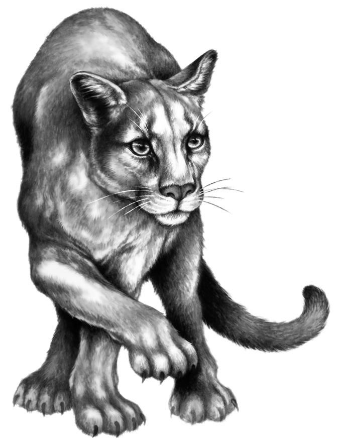 Иллюстрация к книге — Превращение Карага [b00002173.jpg]