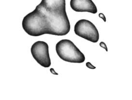 Иллюстрация к книге — Превращение Карага [b00002240.jpg]