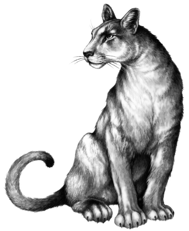 Иллюстрация к книге — Превращение Карага [b00002330.jpg]