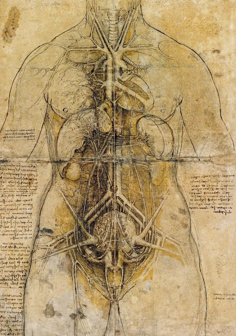 Иллюстрация к книге — Глаза «Джоконды». Секреты «Моны Лизы» [i_104.jpg]