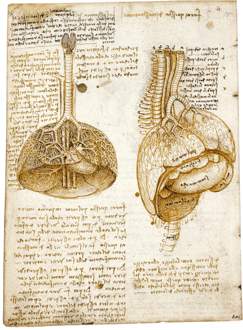 Иллюстрация к книге — Глаза «Джоконды». Секреты «Моны Лизы» [i_106.jpg]