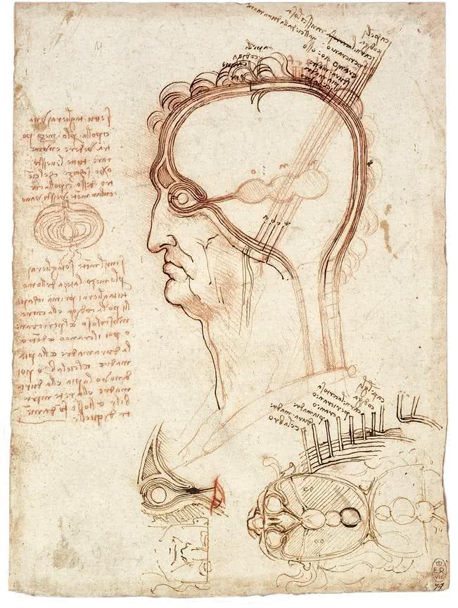 Иллюстрация к книге — Глаза «Джоконды». Секреты «Моны Лизы» [i_107.jpg]