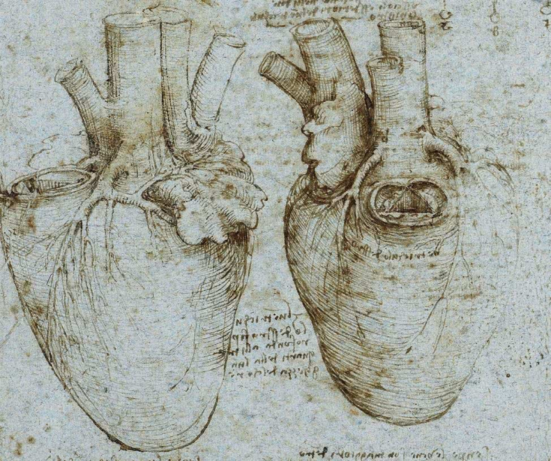 Иллюстрация к книге — Глаза «Джоконды». Секреты «Моны Лизы» [i_112.jpg]