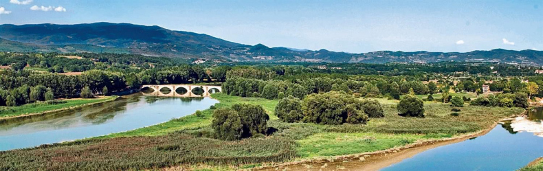 Иллюстрация к книге — Глаза «Джоконды». Секреты «Моны Лизы» [i_117.jpg]