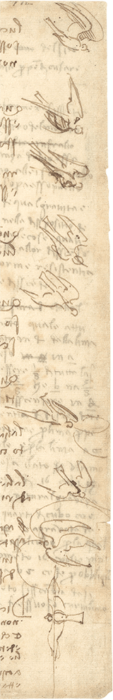 Иллюстрация к книге — Глаза «Джоконды». Секреты «Моны Лизы» [i_148.jpg]