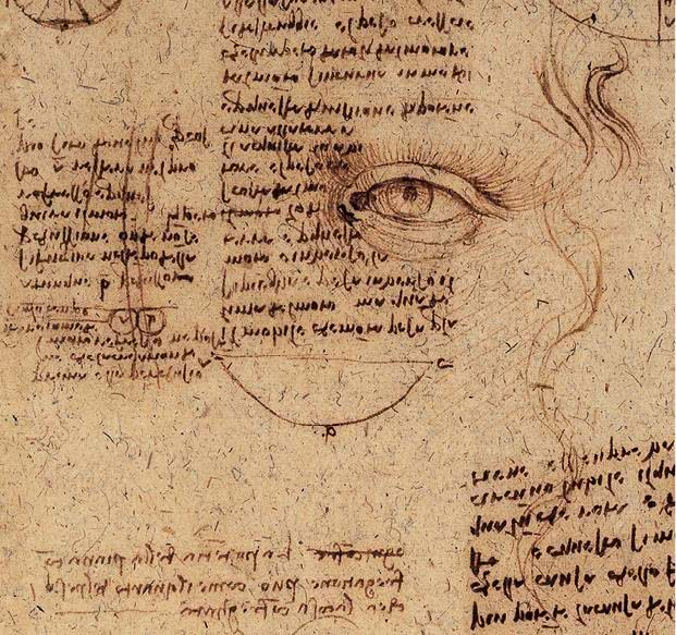 Иллюстрация к книге — Глаза «Джоконды». Секреты «Моны Лизы» [i_175.jpg]