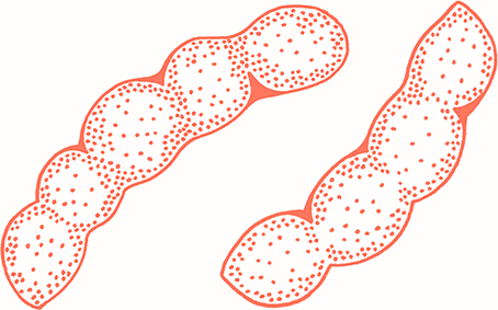 Иллюстрация к книге — Тезаурус вкусов 2. Lateral Cooking [i_057.jpg]