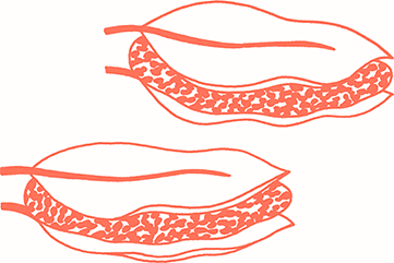 Иллюстрация к книге — Тезаурус вкусов 2. Lateral Cooking [i_065.jpg]