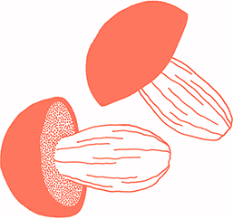 Иллюстрация к книге — Тезаурус вкусов 2. Lateral Cooking [i_144.jpg]