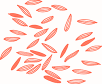 Иллюстрация к книге — Тезаурус вкусов 2. Lateral Cooking [i_146.jpg]