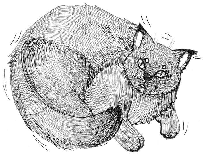 Иллюстрация к книге — Яжмаг [i_005.jpg]