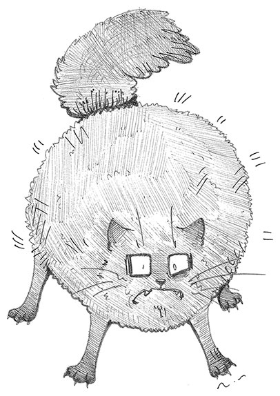 Иллюстрация к книге — Яжмаг [i_015.jpg]