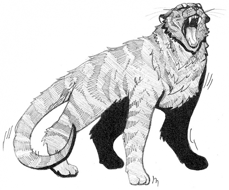 Иллюстрация к книге — Яжмаг [i_019.jpg]