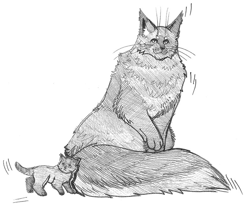 Иллюстрация к книге — Яжмаг [i_024.jpg]