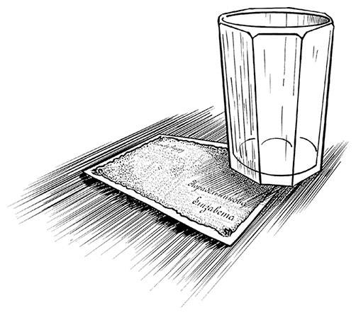 Иллюстрация к книге — Александровскiе кадеты. Том 1 [i_052.jpg]