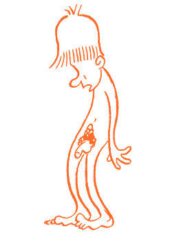 Иллюстрация к книге — Парням о важном. Все, что ты хотел знать о взрослении, изменениях тела, отношениях и многом другом [i_010.jpg]