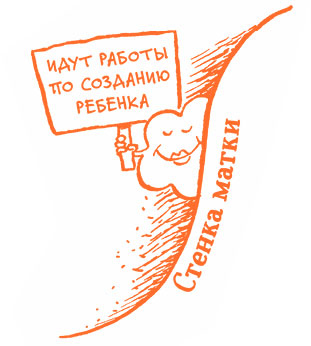 Иллюстрация к книге — Парням о важном. Все, что ты хотел знать о взрослении, изменениях тела, отношениях и многом другом [i_043.jpg]