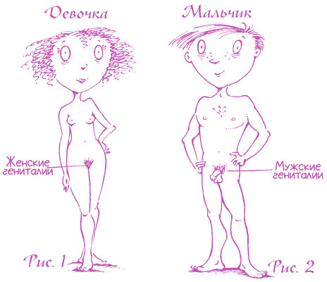 Иллюстрация к книге — Девчонкам о важном. Все, что ты хотела знать о взрослении, месячных, отношениях и многом другом [i_025.jpg]