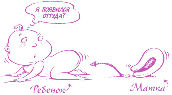 Иллюстрация к книге — Девчонкам о важном. Все, что ты хотела знать о взрослении, месячных, отношениях и многом другом [i_029.jpg]