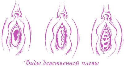 Иллюстрация к книге — Девчонкам о важном. Все, что ты хотела знать о взрослении, месячных, отношениях и многом другом [i_030.jpg]