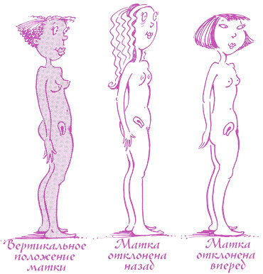 Иллюстрация к книге — Девчонкам о важном. Все, что ты хотела знать о взрослении, месячных, отношениях и многом другом [i_033.jpg]