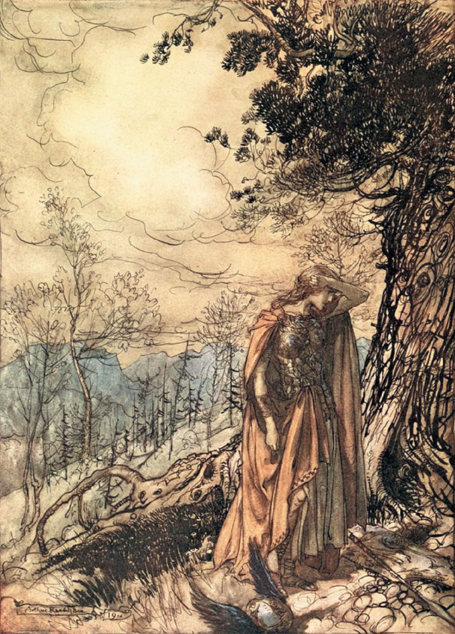 Иллюстрация к книге — Валькирии. Женщины в мире викингов [i_010.jpg]