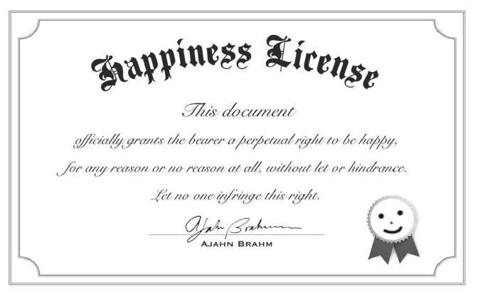 Иллюстрация к книге — Don't worry. Be grumpy. Разреши себе сердиться. 108 коротких историй о том, как сделать лимонад из лимонов жизни [i_001.jpg]