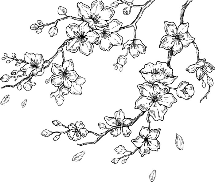 Иллюстрация к книге — Искусство быть желанной. Секреты гейши [i_005.jpg]