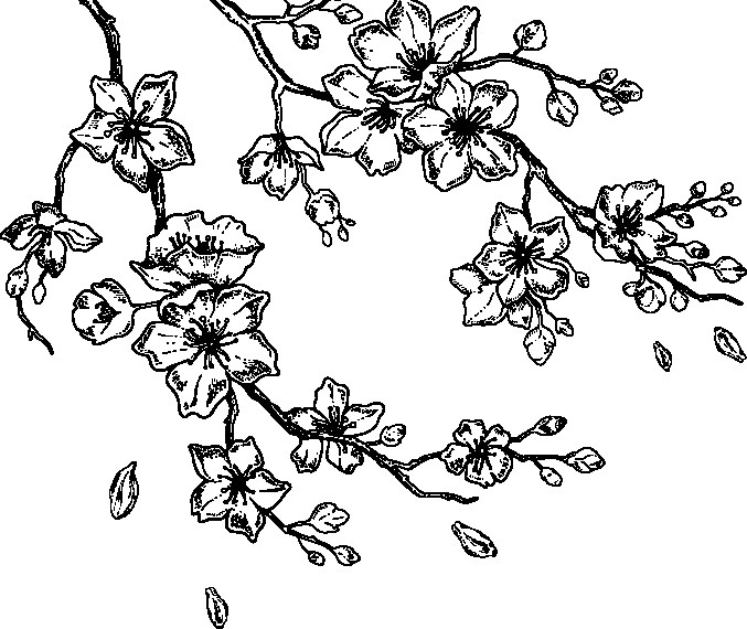 Иллюстрация к книге — Искусство быть желанной. Секреты гейши [i_033.jpg]