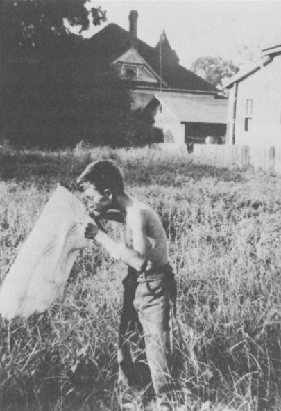 Иллюстрация к книге — Путешествие к муравьям [i_007.jpg]