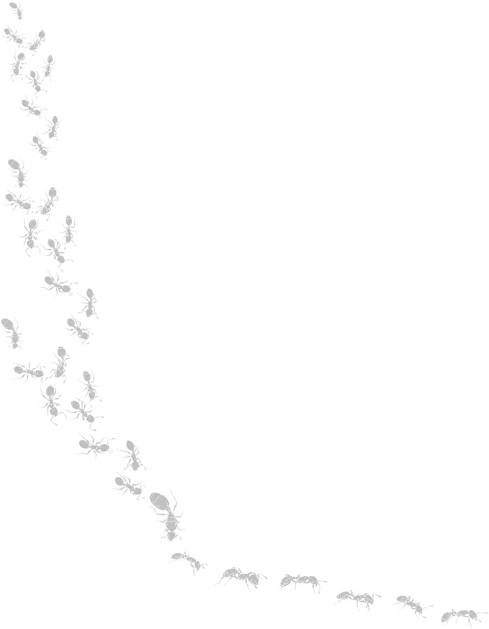 Иллюстрация к книге — Путешествие к муравьям [i_009.jpg]