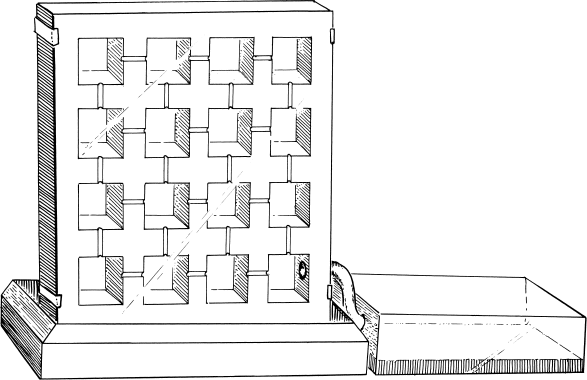 Иллюстрация к книге — Путешествие к муравьям [i_063.jpg]