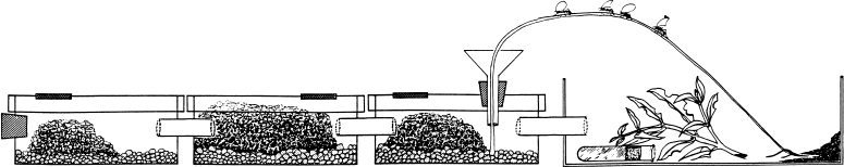 Иллюстрация к книге — Путешествие к муравьям [i_067.jpg]