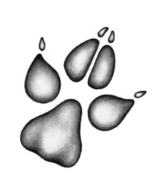 Иллюстрация к книге — Тайна Холли [i_009.jpg]