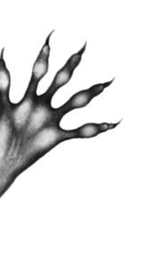 Иллюстрация к книге — Тайна Холли [i_010.jpg]