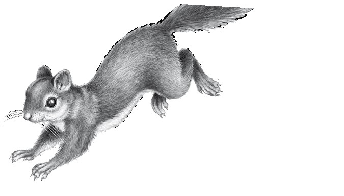 Иллюстрация к книге — Тайна Холли [i_014.jpg]